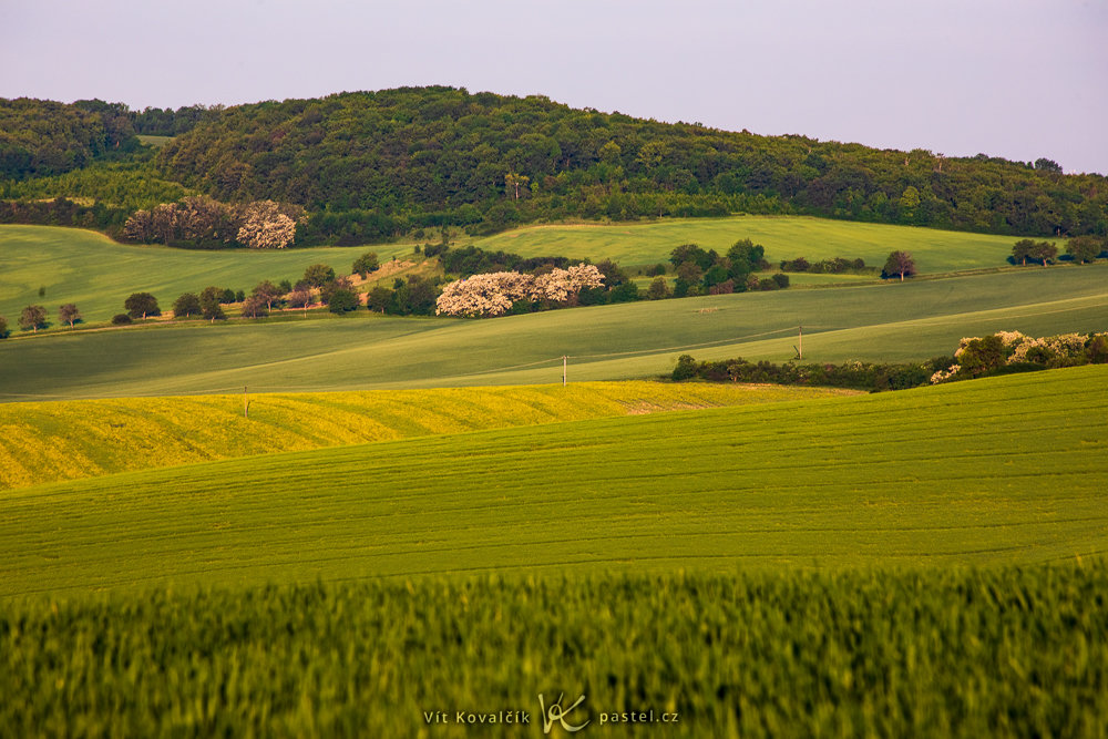 Experiment: Testen Sie das Verhalten von Licht (nicht nur) in der Landschaft. Makrofotografie hilft Ihnen dabei.