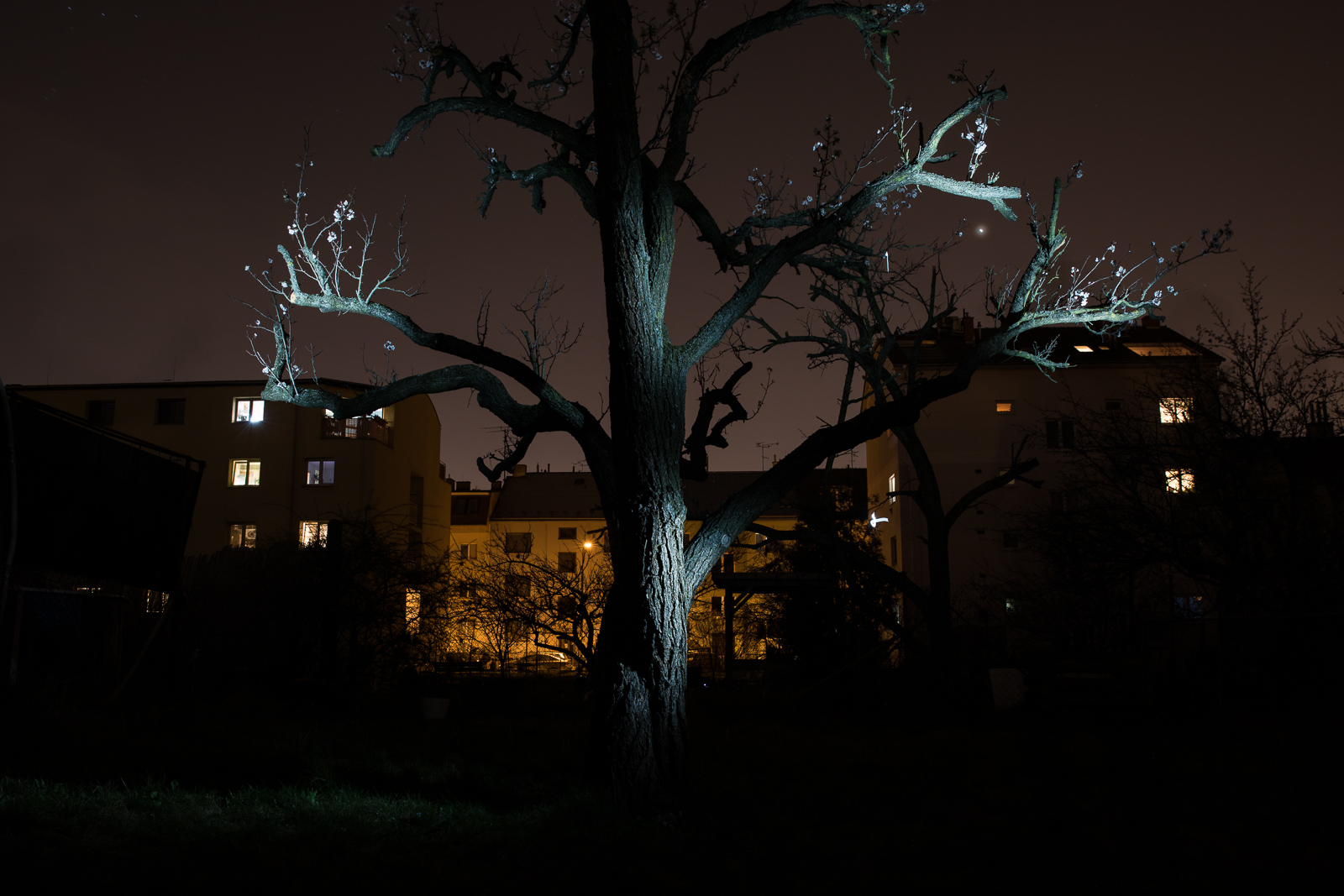 Lightpainting: Wie es geht und was Sie brauchen