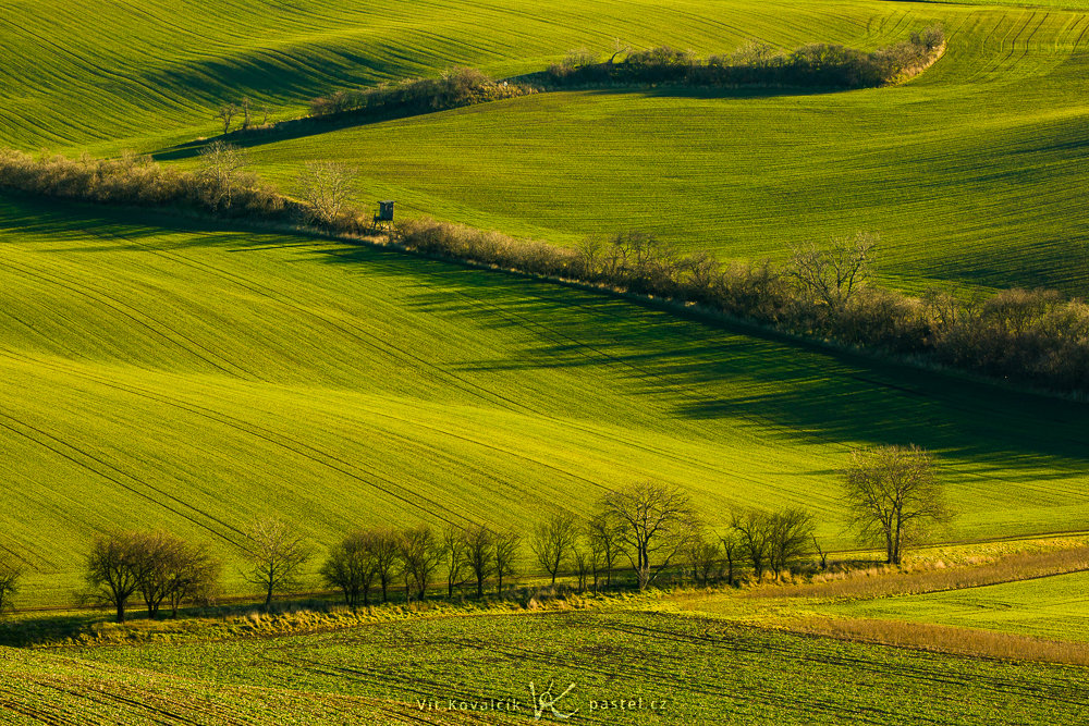 Experiment: Testen Sie das Verhalten von Licht (nicht nur) in der Landschaft. Makrofotografie hilft Ihnen dabei.