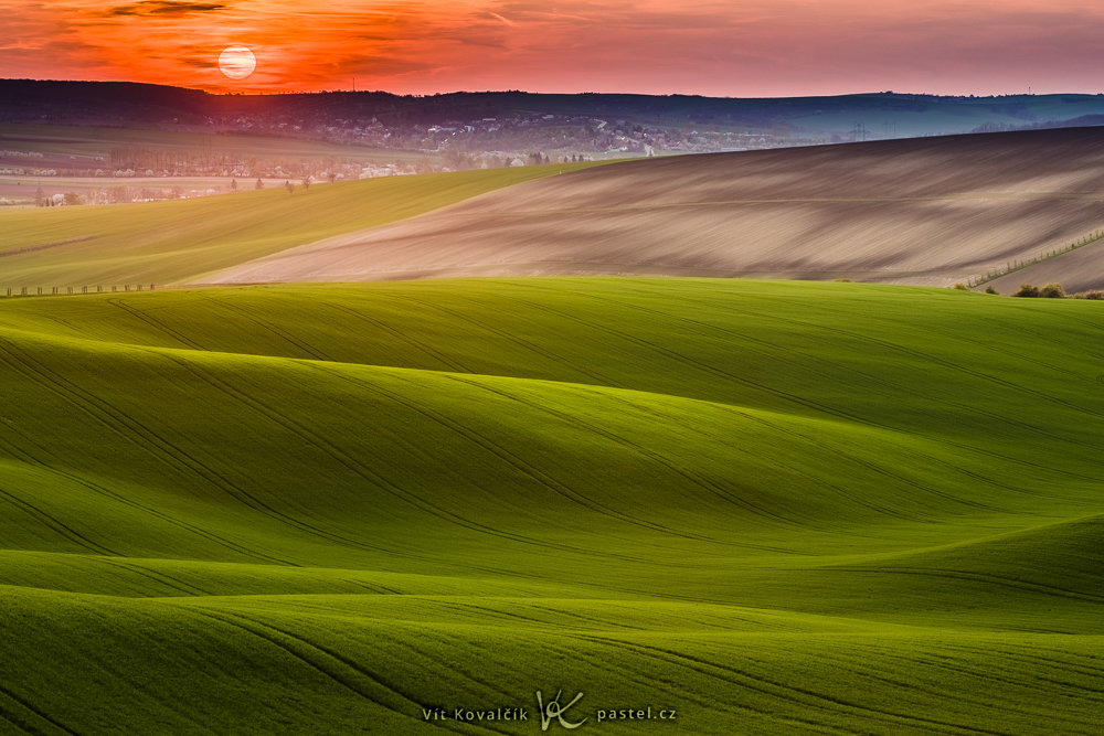 Experiment: Testen Sie das Verhalten von Licht (nicht nur) in der Landschaft. Makrofotografie hilft Ihnen dabei.