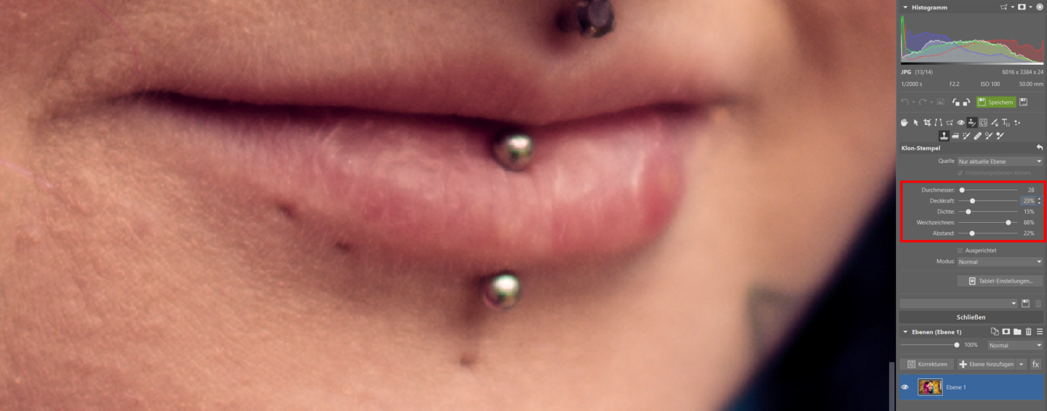 Bildbearbeitung eines Frühlingsporträts II: Erweiterte Retusche im Modul Editor