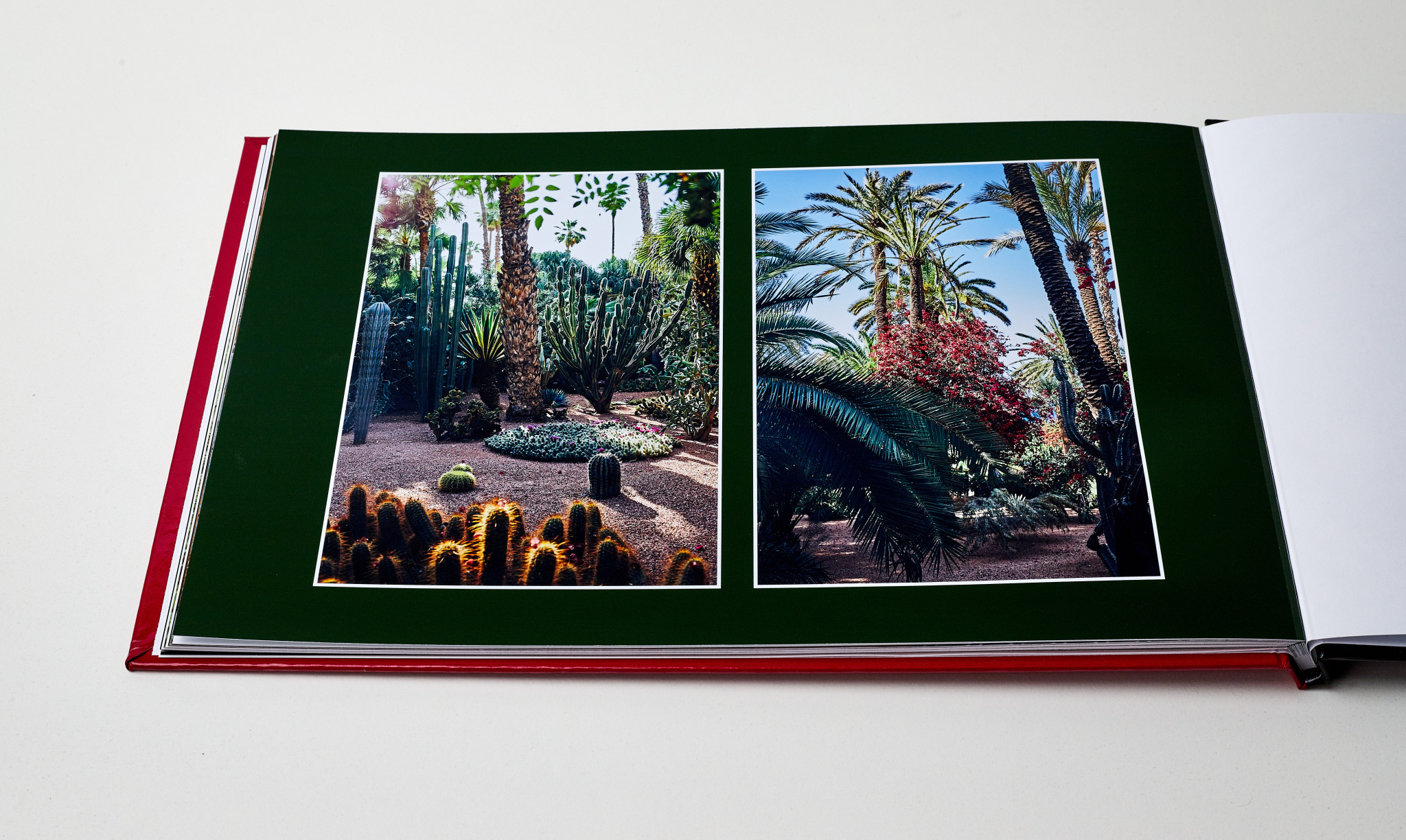 fotobuch Zoner Studiox