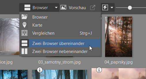 So laden Sie Fotos direkt von Zoner Photo Studio X auf Zonerama hoch