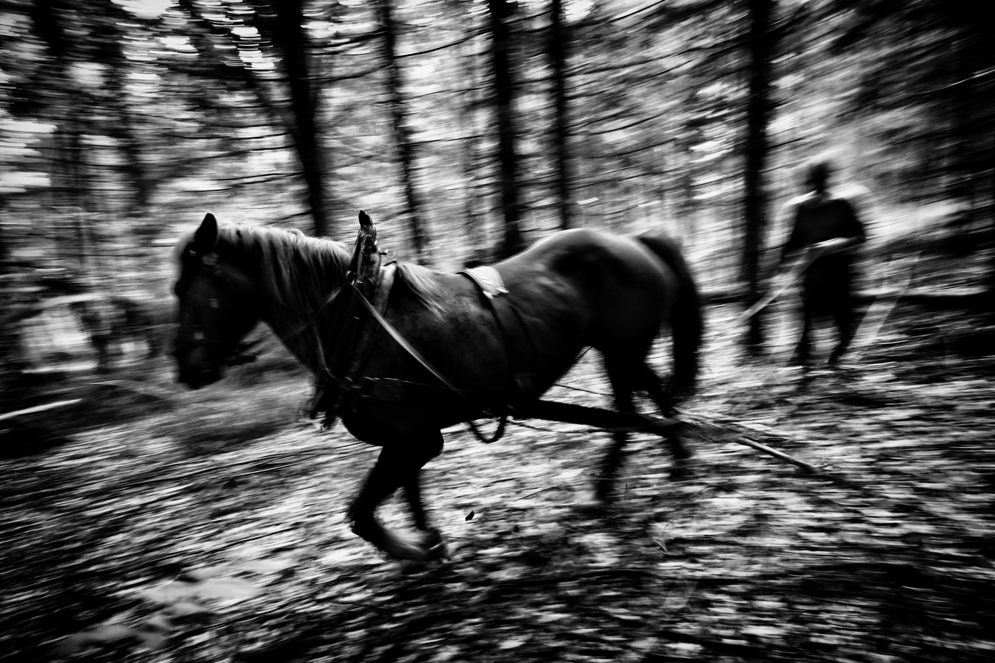 Reportagefotografie: Wie man eine ansprechende Reportage macht und Geschichten erzählt