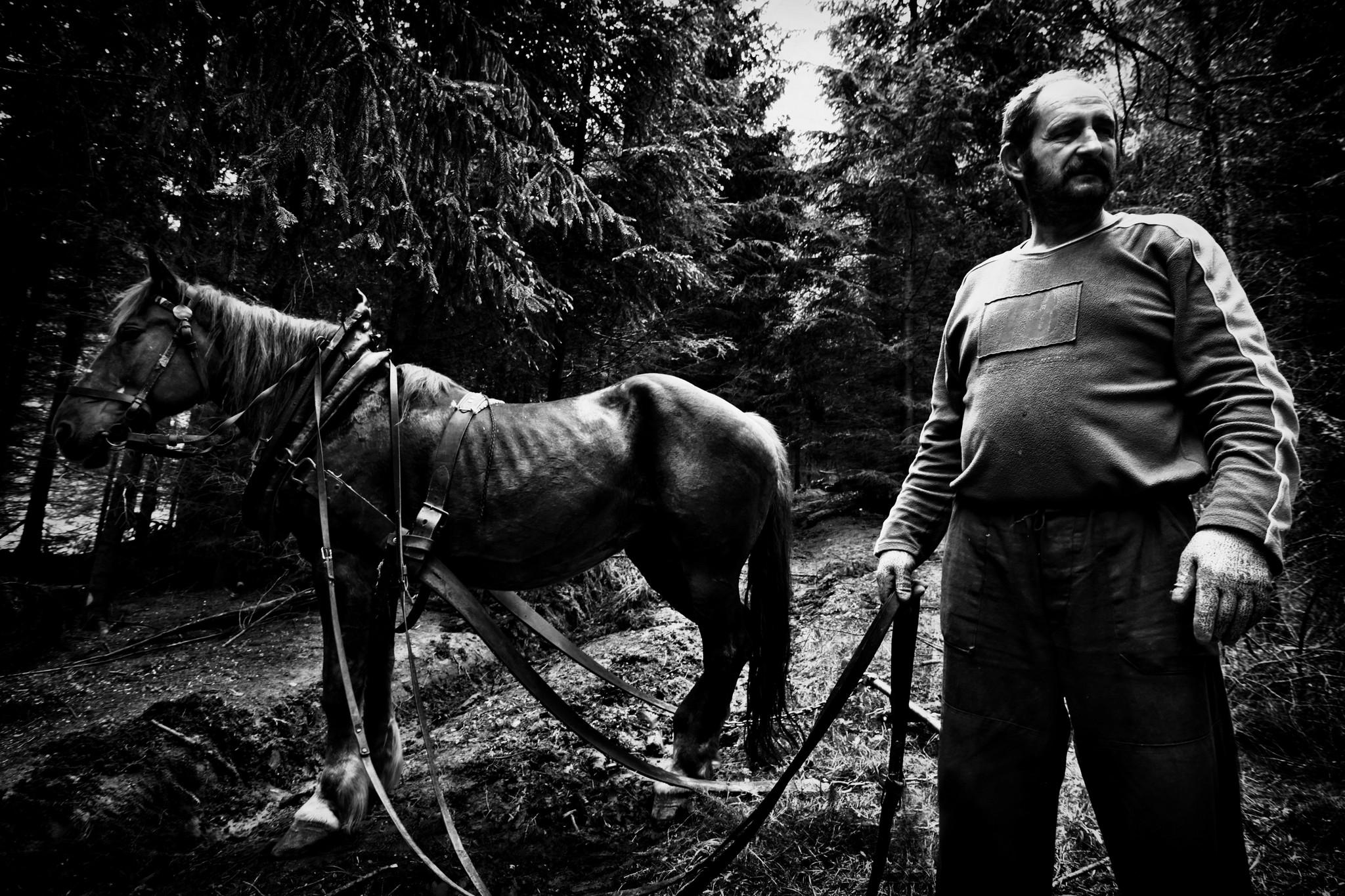 Reportagefotografie: Wie man eine ansprechende Reportage macht und Geschichten erzählt