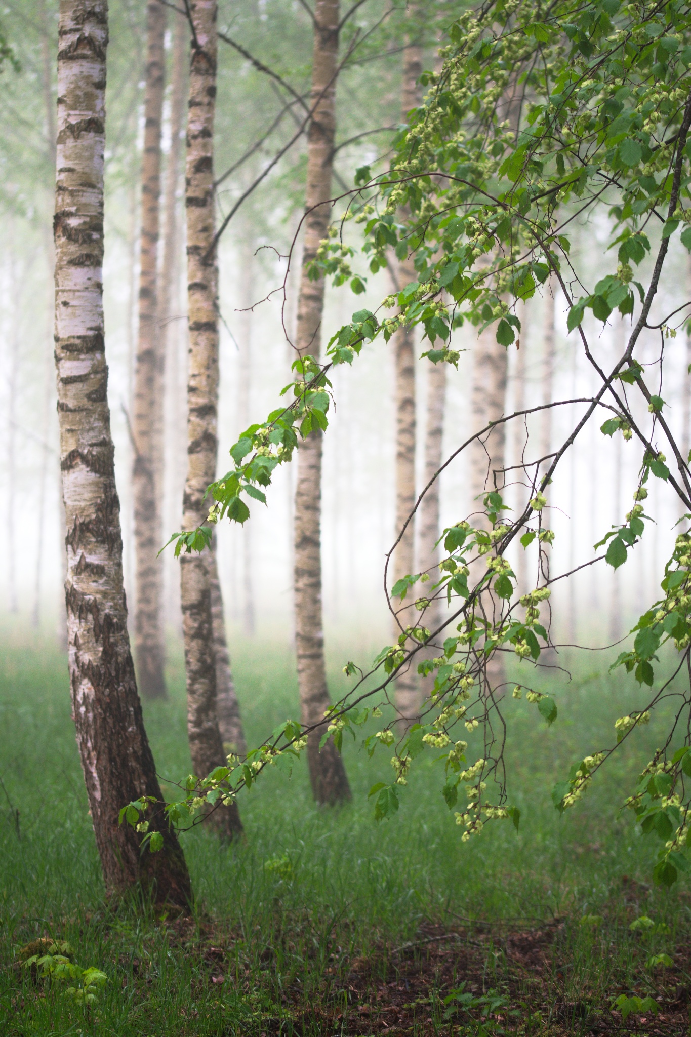 Kevin Bruseby, schwedischer Landschaftsfotograf: Die besten Aufnahmen warten manchmal gleich um die Ecke