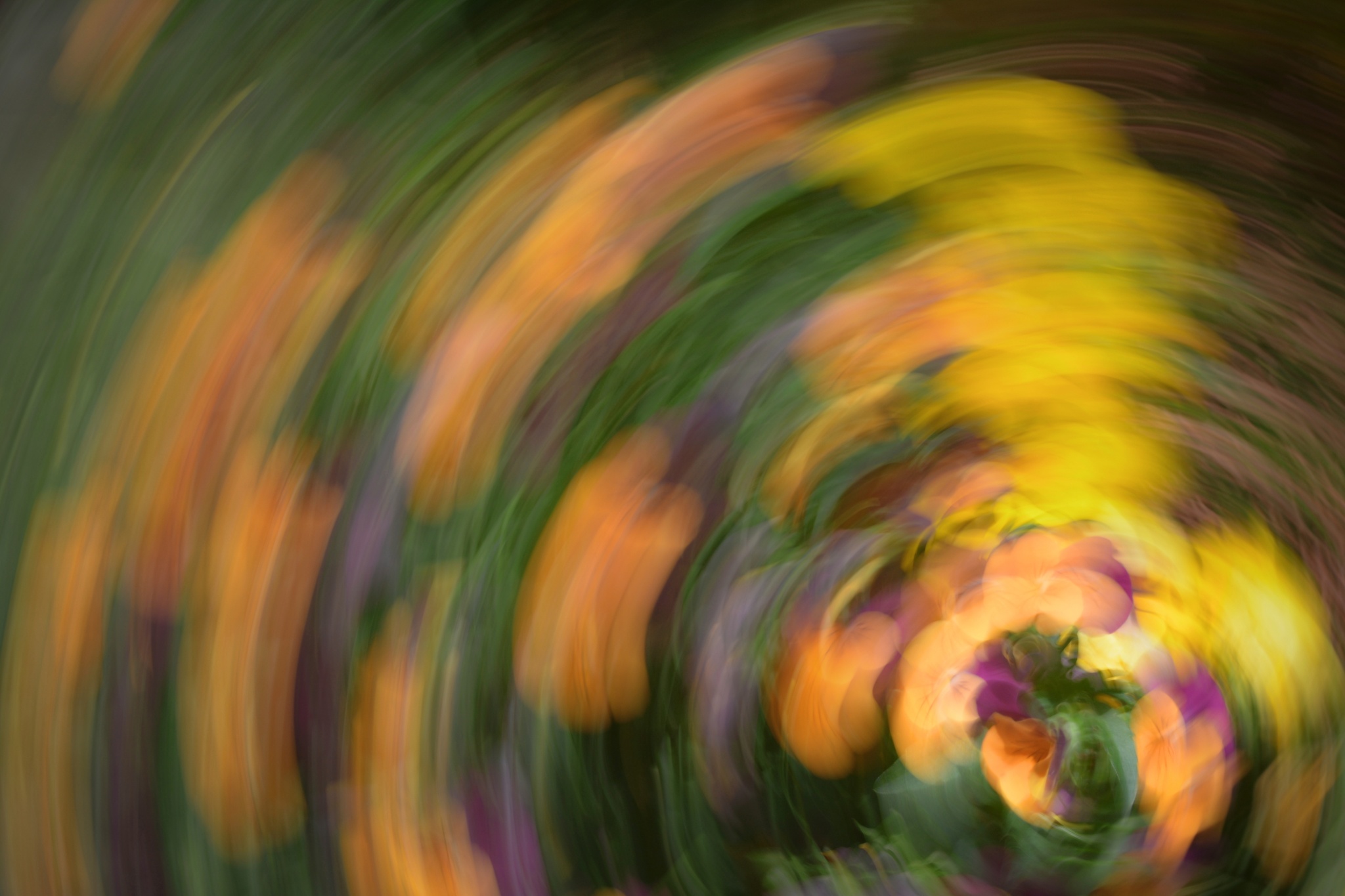 Fotografische Experimente mit Bewegung, die Sie verwirren werden!