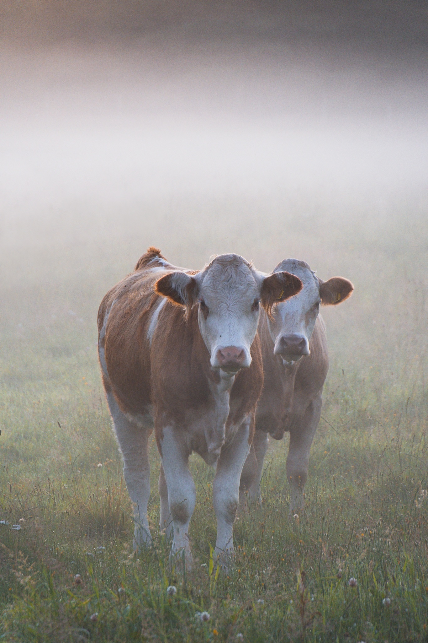 Kevin Bruseby, schwedischer Landschaftsfotograf: Die besten Aufnahmen warten manchmal gleich um die Ecke
