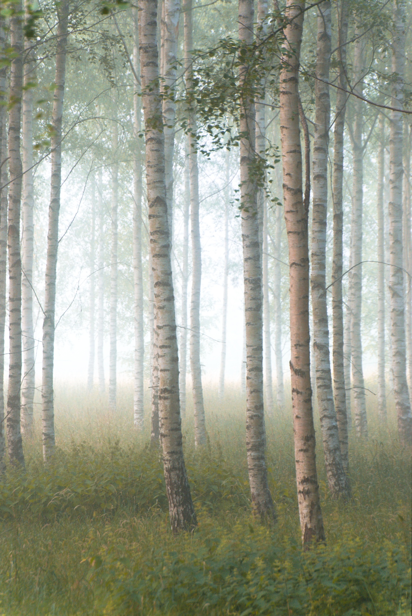 Kevin Bruseby, schwedischer Landschaftsfotograf: Die besten Aufnahmen warten manchmal gleich um die Ecke