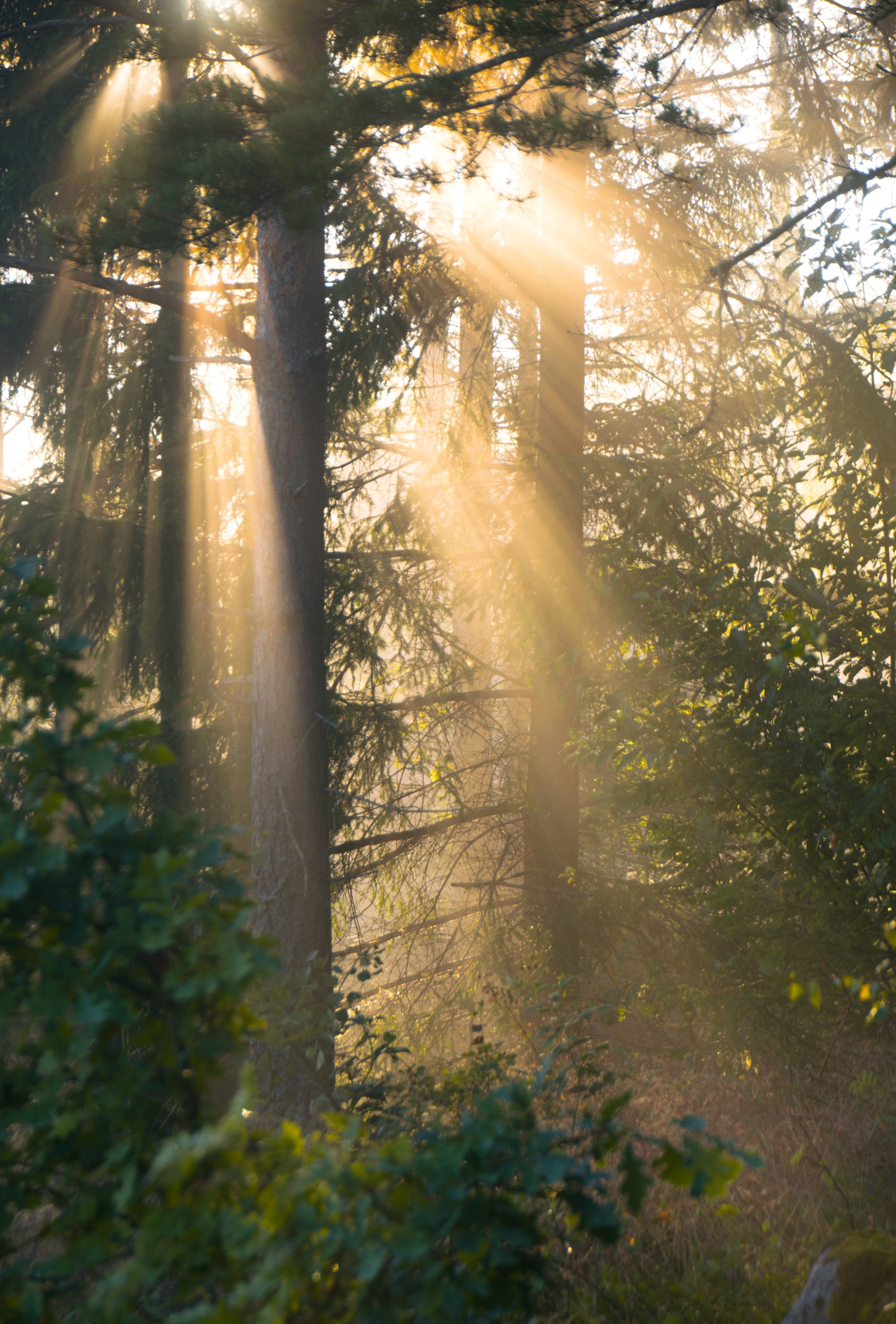Kevin Bruseby, schwedischer Landschaftsfotograf: Die besten Aufnahmen warten manchmal gleich um die Ecke