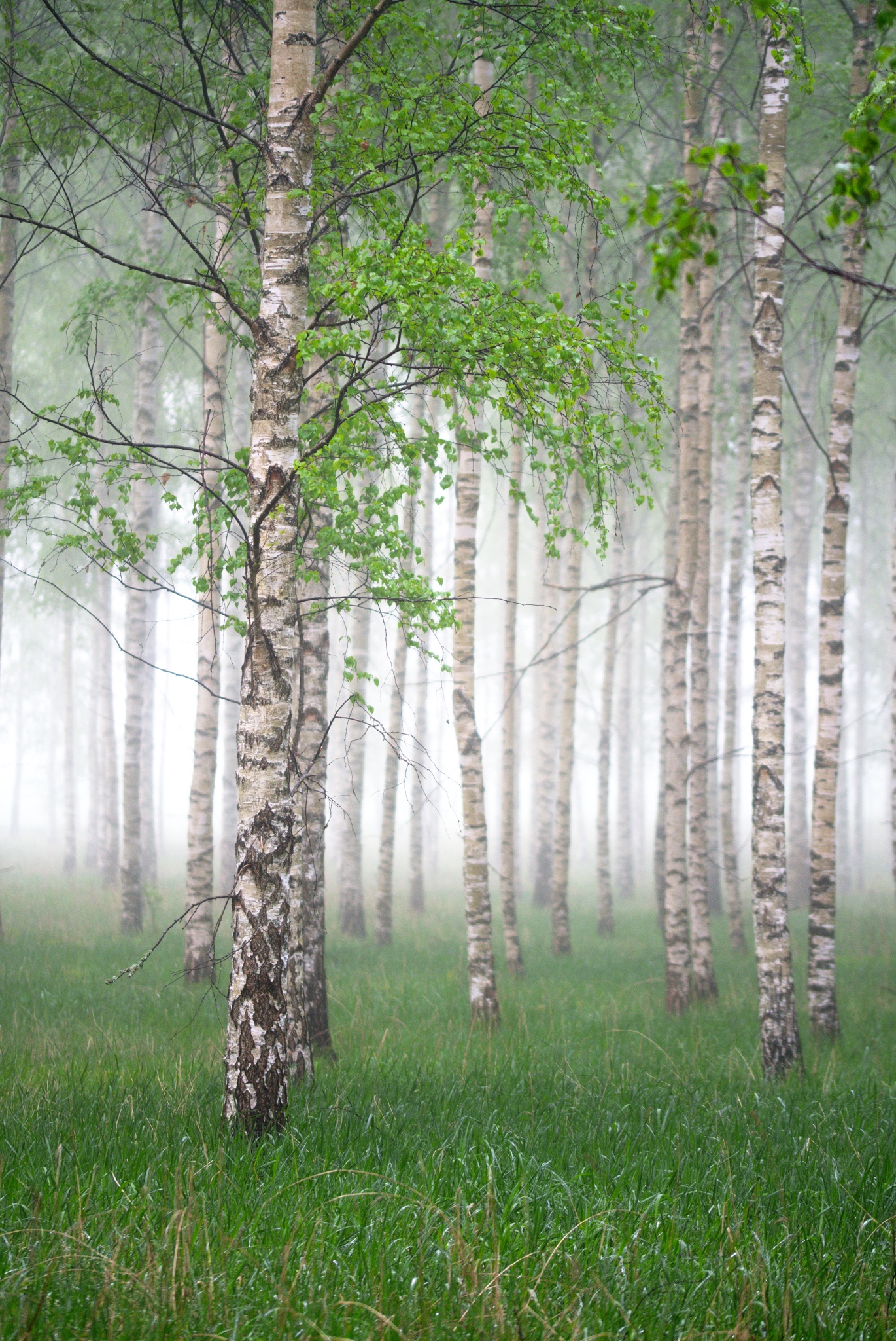 Kevin Bruseby, schwedischer Landschaftsfotograf: Die besten Aufnahmen warten manchmal gleich um die Ecke