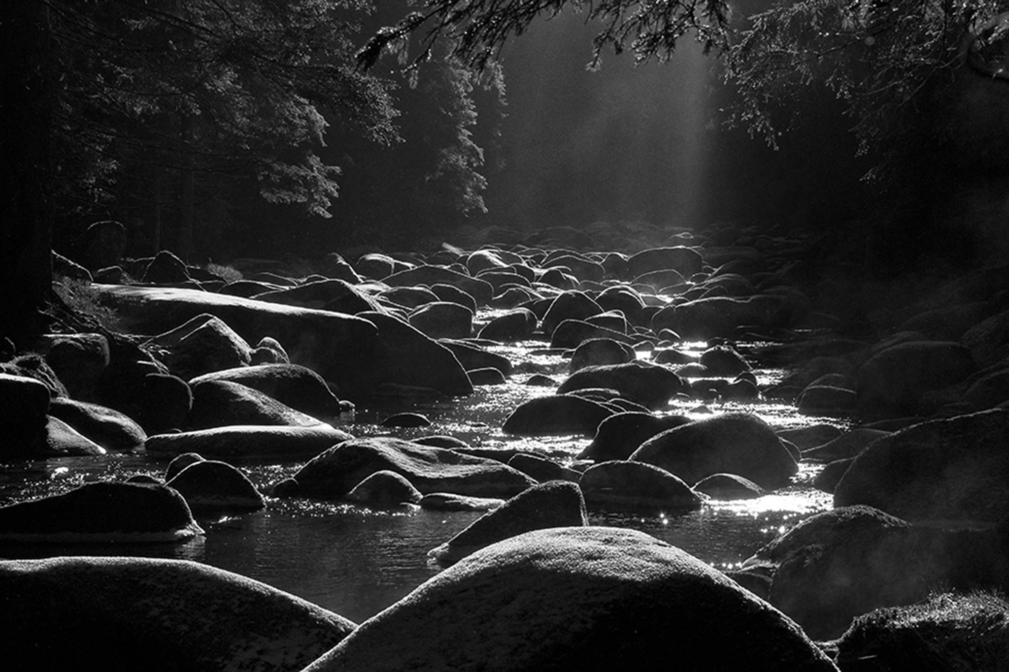 Der Hoffotograf des Böhmerwaldes Pavel Semerád: Das Rezept für ein gutes Landschaftsfoto? Morgensonne und fotogene Wolken