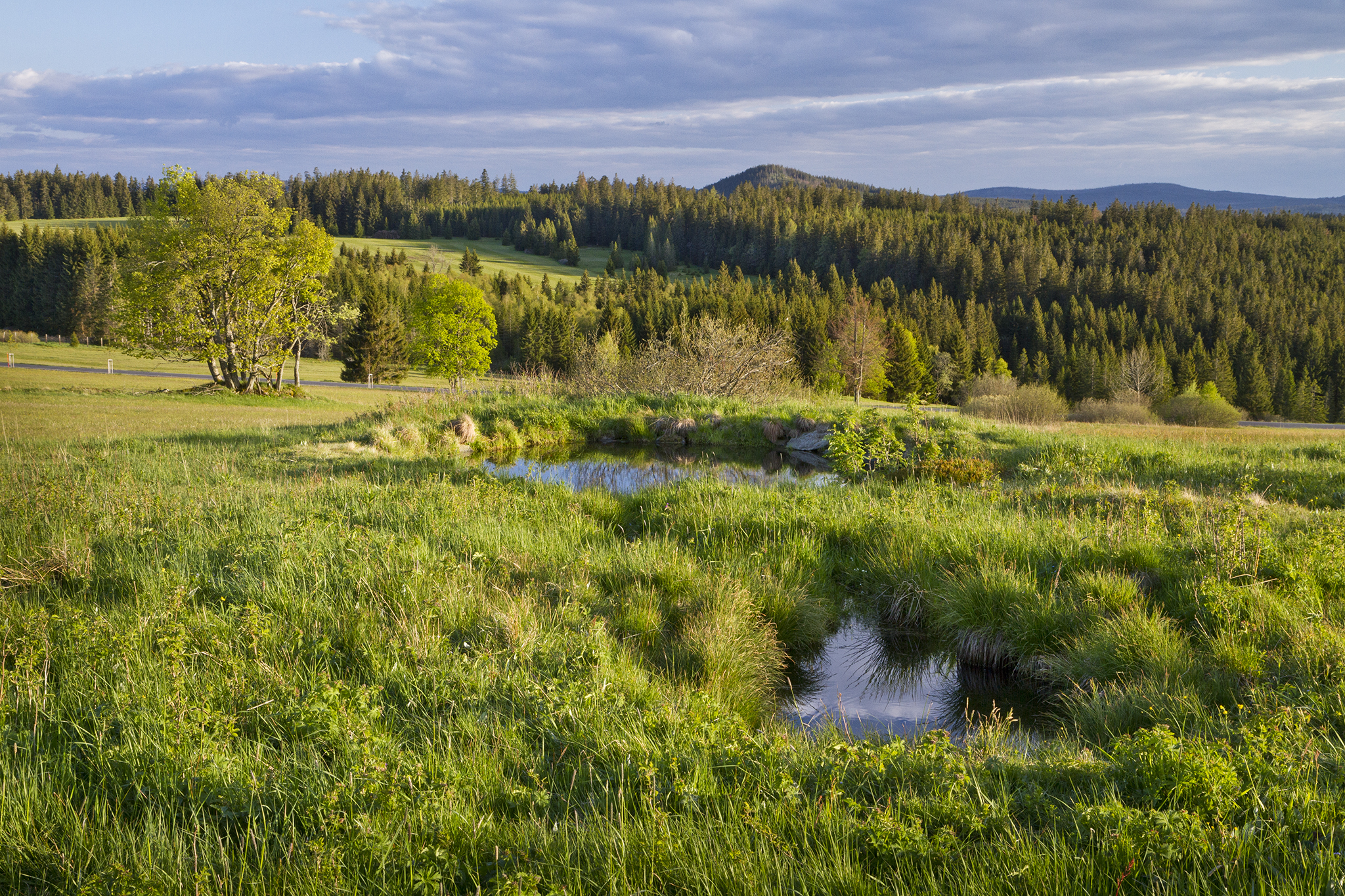 Der Hoffotograf des Böhmerwaldes Pavel Semerád: Das Rezept für ein gutes Landschaftsfoto? Morgensonne und fotogene Wolken