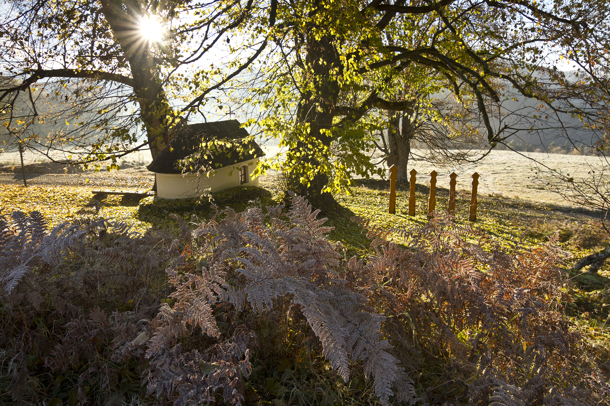 Der Hoffotograf des Böhmerwaldes Pavel Semerád: Das Rezept für ein gutes Landschaftsfoto? Morgensonne und fotogene Wolken