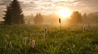 Der Hoffotograf des Böhmerwaldes Pavel Semerád: Das Rezept für ein gutes Landschaftsfoto? Morgensonne und fotogene Wolken
