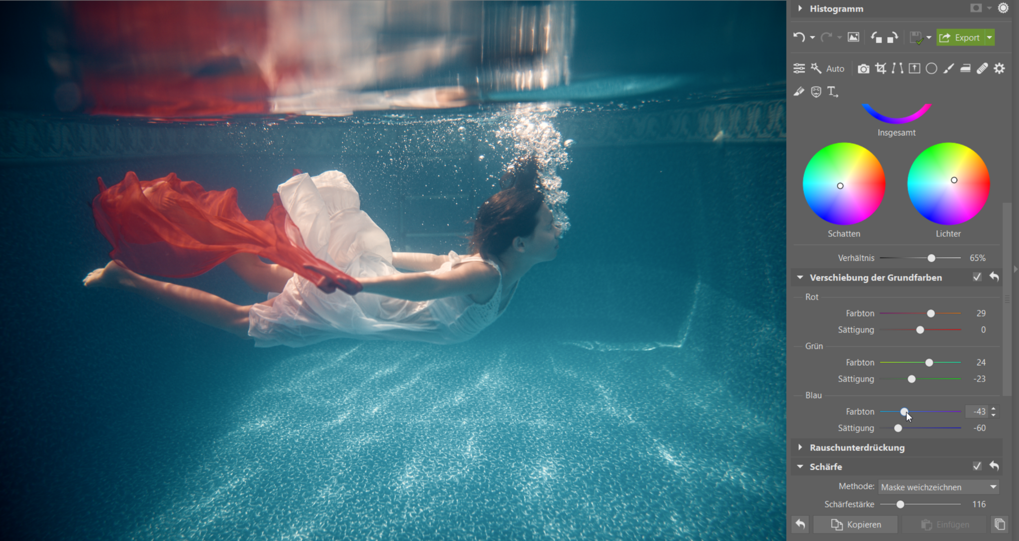 Unterwasserfotografie: Wie man Unterwasserfotos bearbeitet, damit sie lebendig wirken
