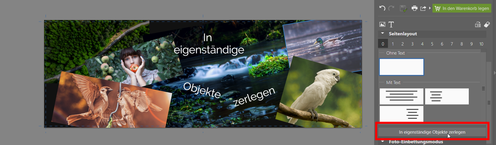Wir verbessern das Modul "Erstellen": noch einfacheres Erstellen von Fotoartikeln