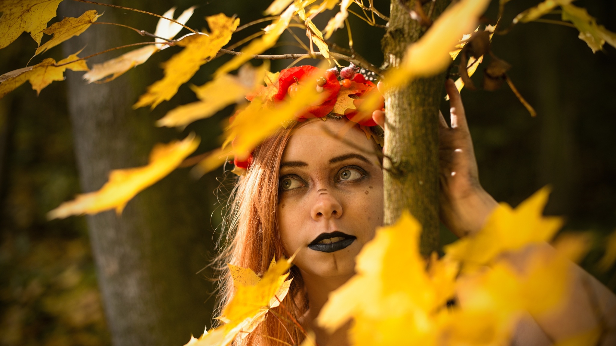 Tipps für Herbstfotografie: nebliger Morgen, Farbenflut und wildes Halloween