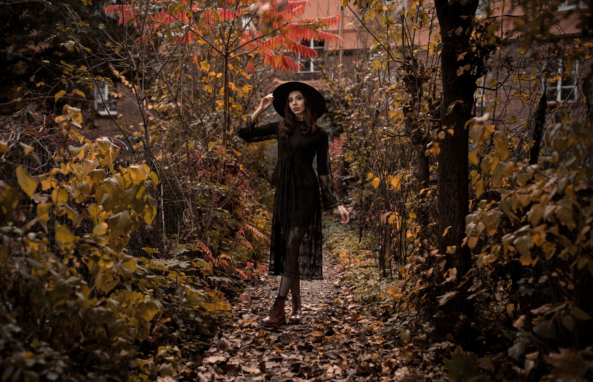 Tipps für Herbstfotografie: nebliger Morgen, Farbenflut und wildes Halloween