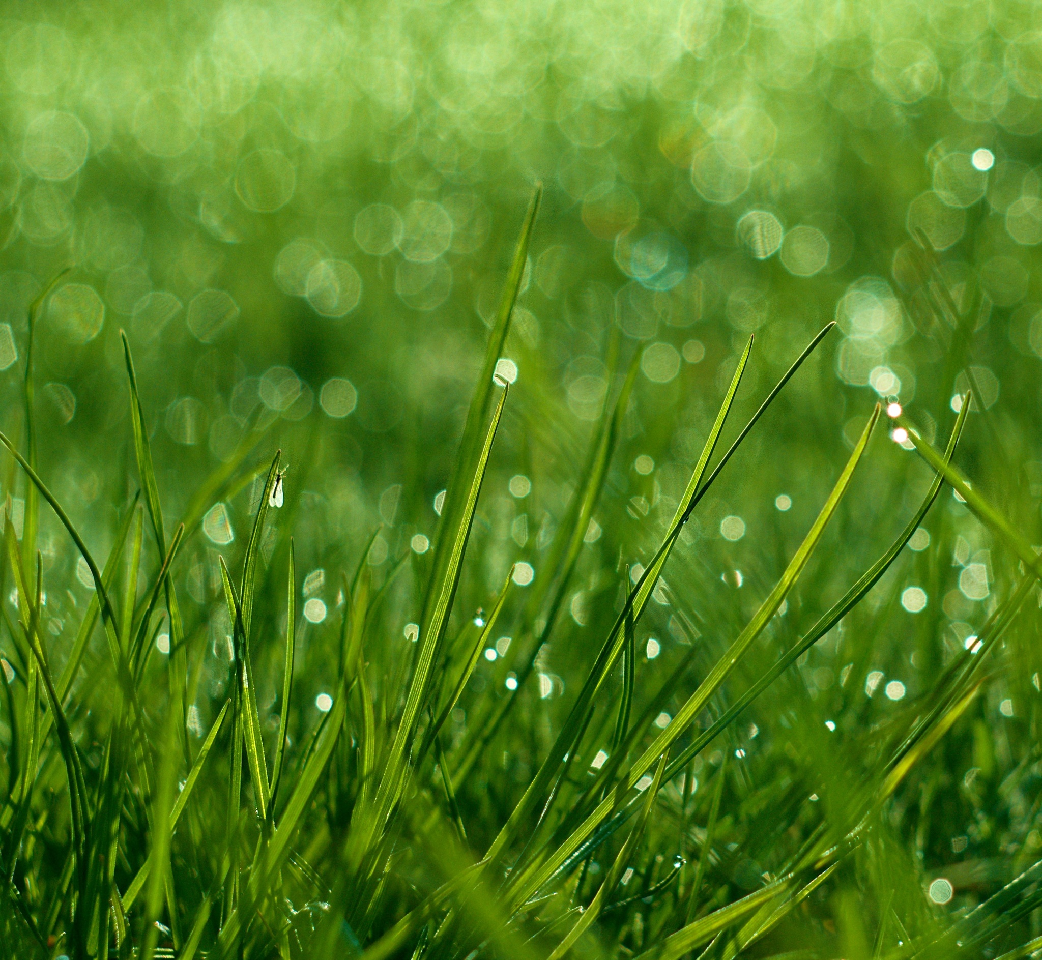 Historische Objektive an einem digitalen Gehäuse? Schönes Bokeh, Reflexionen und originelle Bildqualität