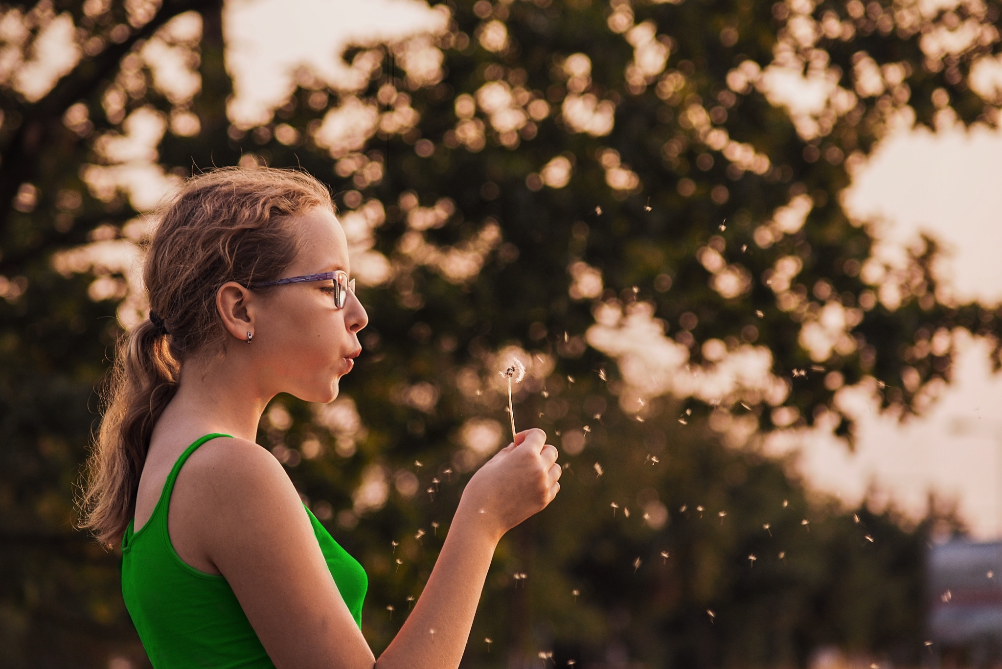 Altes Objektiv an moderner Kamera: Welches ist für Porträt, Makro oder Landschaft geeignet