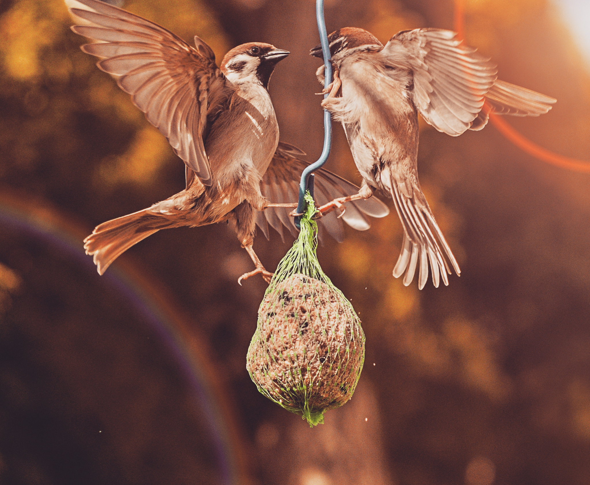 Altes Objektiv an moderner Kamera: Welches ist für Porträt, Makro oder Landschaft geeignet