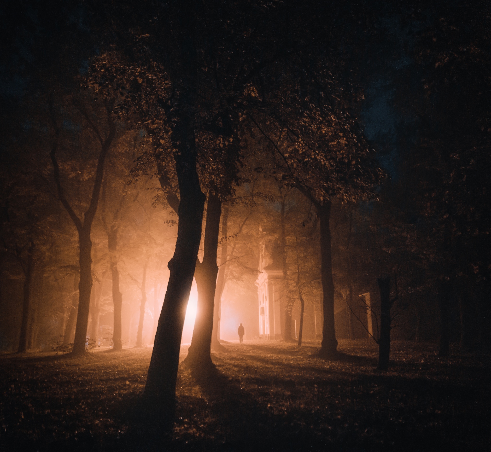 Fotografieren im Nebel: Verleihen Sie Ihren Fotos eine düstere Atmosphäre. Wir geben Tipps zum Fotografieren und Bearbeiten