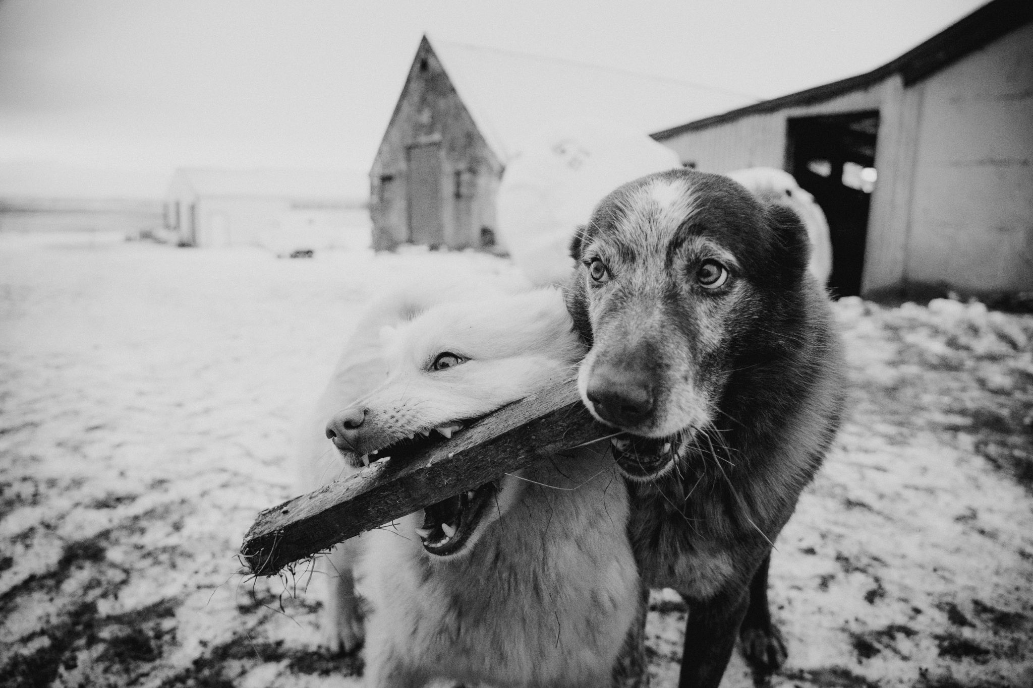 Humor in der Fotografie - wie man lustige Fotos macht