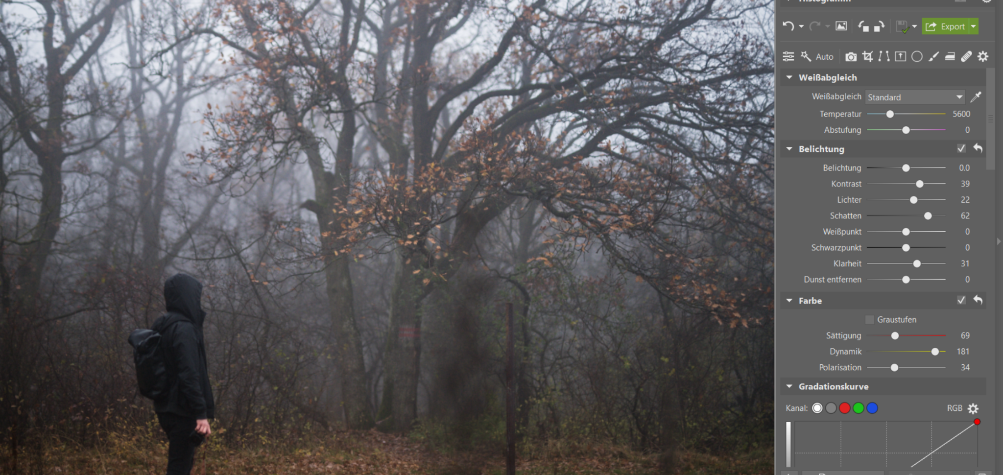 Fotografieren im Nebel: Verleihen Sie Ihren Fotos eine düstere Atmosphäre. Wir geben Tipps zum Fotografieren und Bearbeiten 