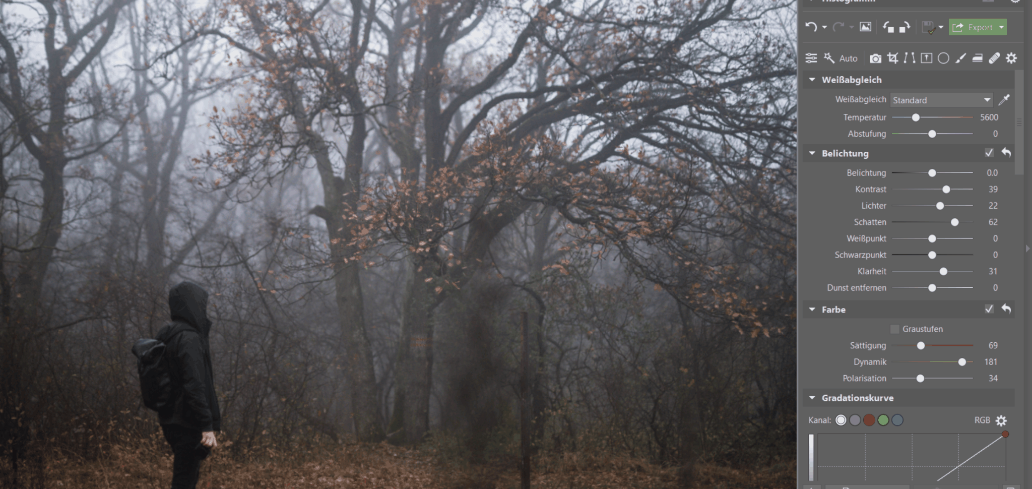 Fotografieren im Nebel: Verleihen Sie Ihren Fotos eine düstere Atmosphäre. Wir geben Tipps zum Fotografieren und Bearbeiten