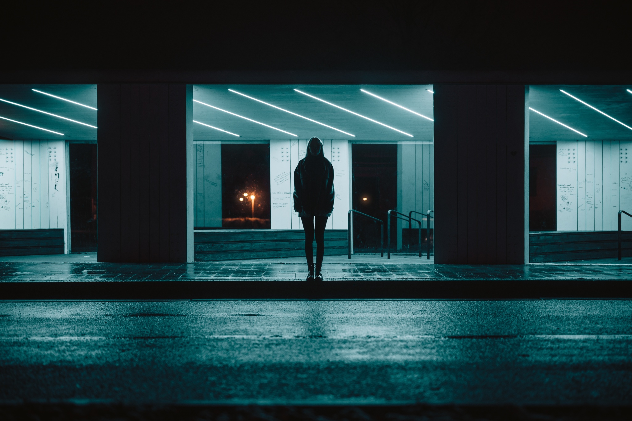 Wunderschönes Bokeh, ausgezeichnete Lichtstärke und Geschwindigkeit - das Nikon Z 50mm f/1.2