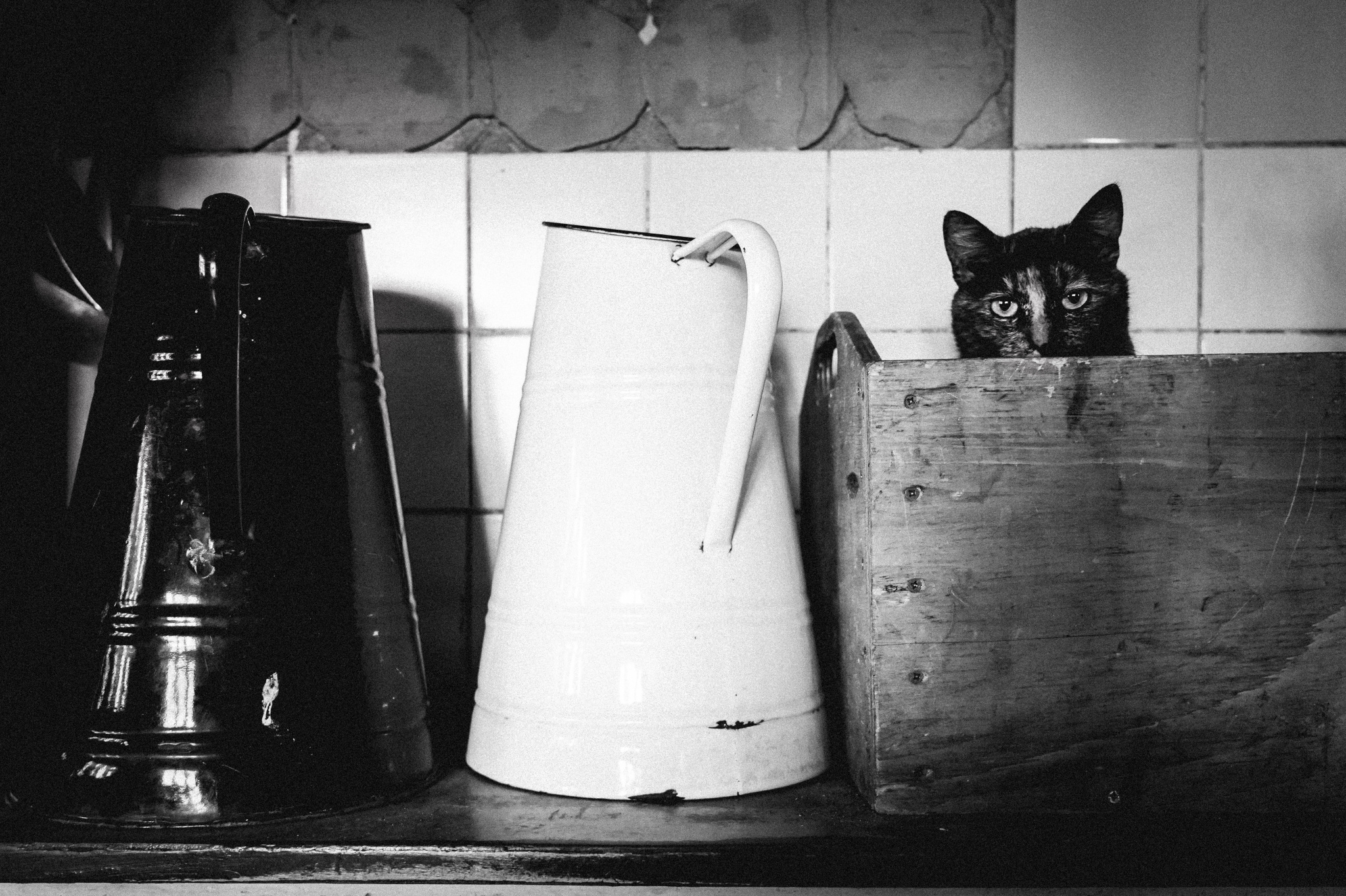 Humor in der Fotografie - wie man lustige Fotos macht