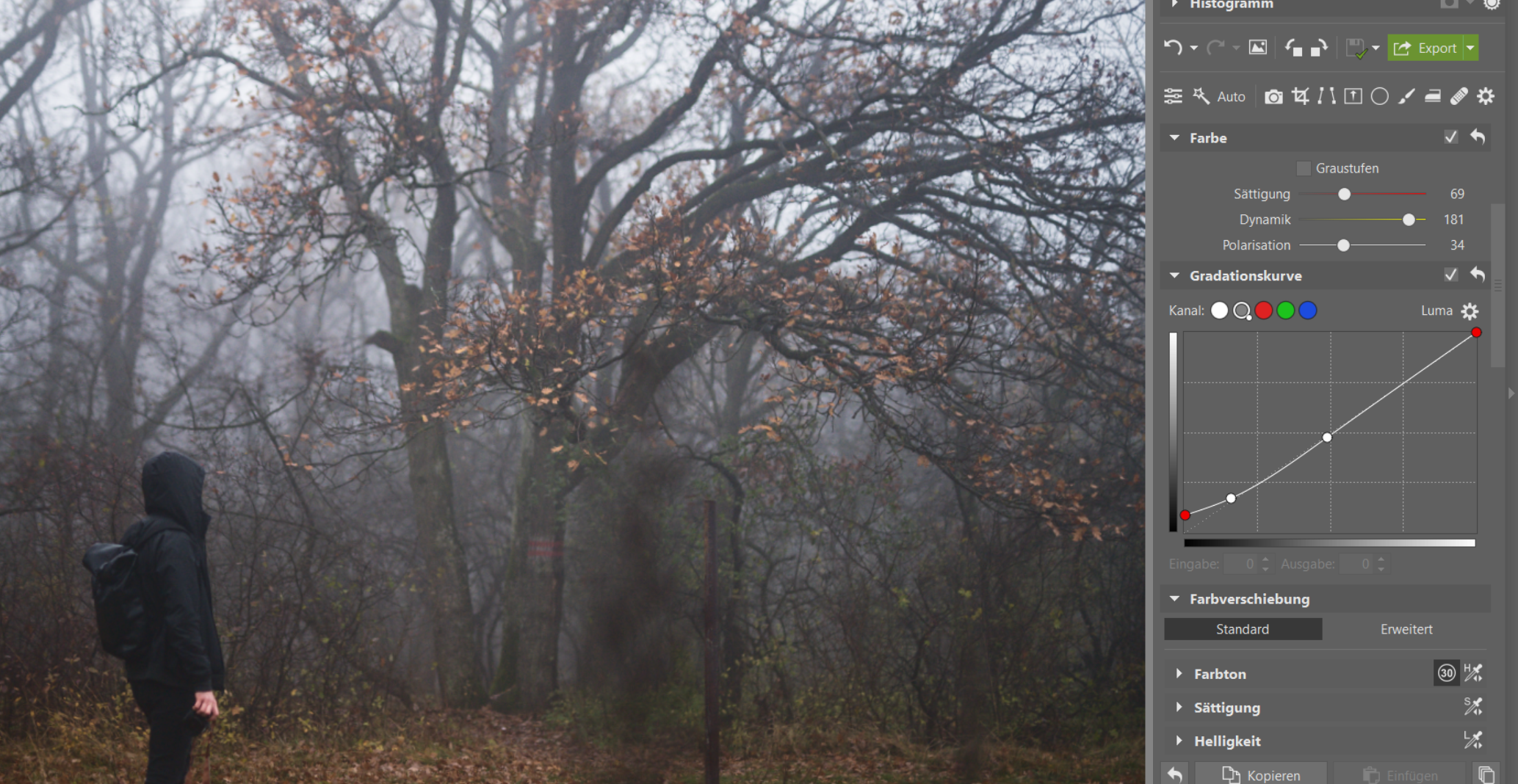 Fotografieren im Nebel: Verleihen Sie Ihren Fotos eine düstere Atmosphäre. Wir geben Tipps zum Fotografieren und Bearbeiten