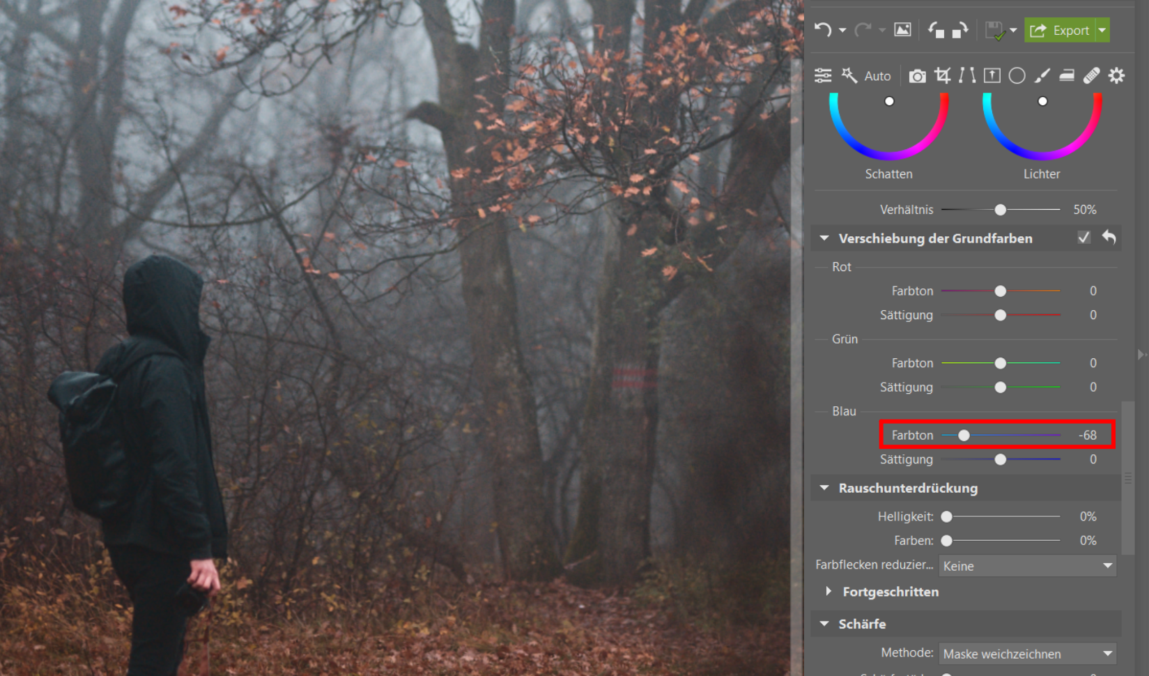 Fotografieren im Nebel: Verleihen Sie Ihren Fotos eine düstere Atmosphäre. Wir geben Tipps zum Fotografieren und Bearbeiten