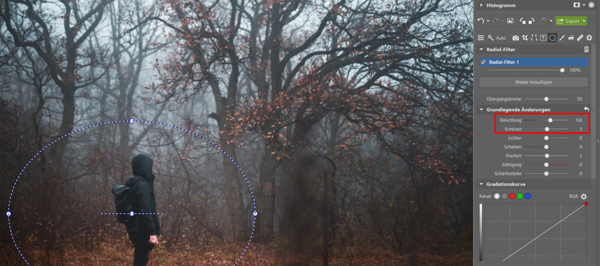 Fotografieren im Nebel: Verleihen Sie Ihren Fotos eine düstere Atmosphäre. Wir geben Tipps zum Fotografieren und Bearbeiten