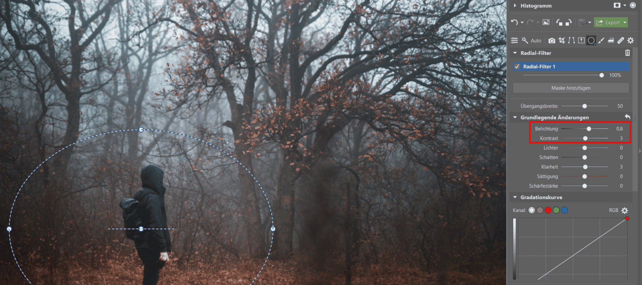 Fotografieren im Nebel: Verleihen Sie Ihren Fotos eine düstere Atmosphäre. Wir geben Tipps zum Fotografieren und Bearbeiten