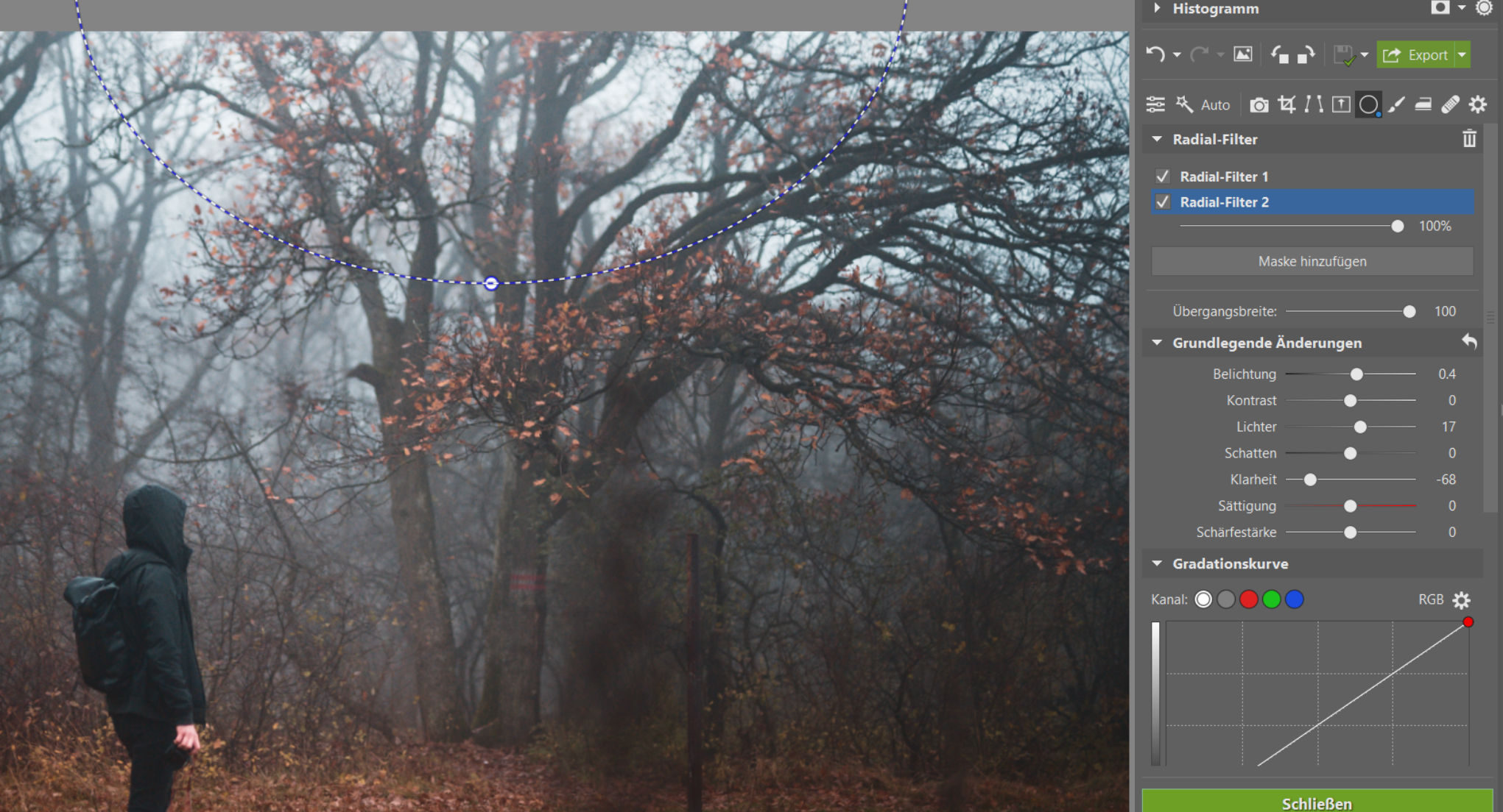 Fotografieren im Nebel: Verleihen Sie Ihren Fotos eine düstere Atmosphäre. Wir geben Tipps zum Fotografieren und Bearbeiten
