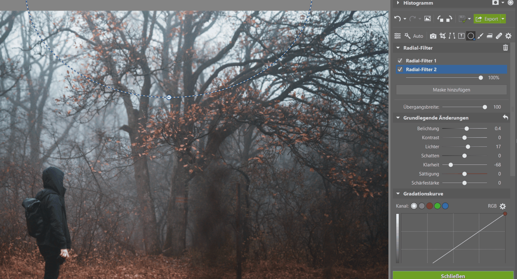 Fotografieren im Nebel: Verleihen Sie Ihren Fotos eine düstere Atmosphäre. Wir geben Tipps zum Fotografieren und Bearbeiten