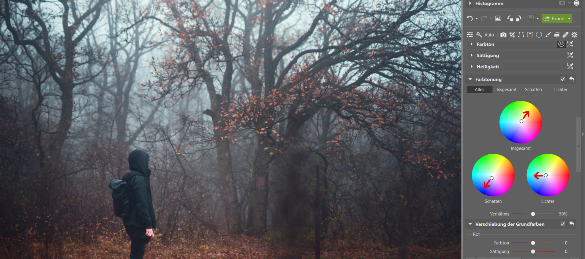 Fotografieren im Nebel: Verleihen Sie Ihren Fotos eine düstere Atmosphäre. Wir geben Tipps zum Fotografieren und Bearbeiten 