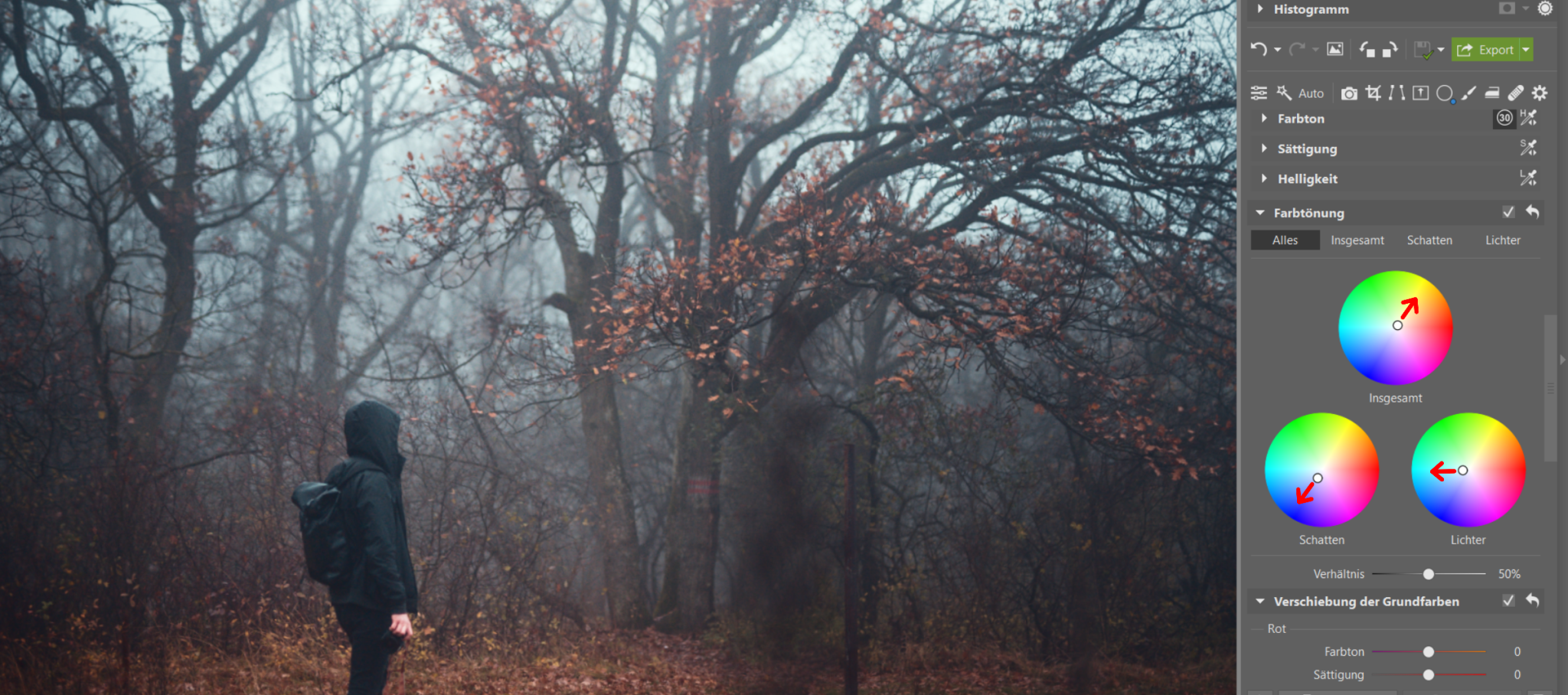 Fotografieren im Nebel: Verleihen Sie Ihren Fotos eine düstere Atmosphäre. Wir geben Tipps zum Fotografieren und Bearbeiten