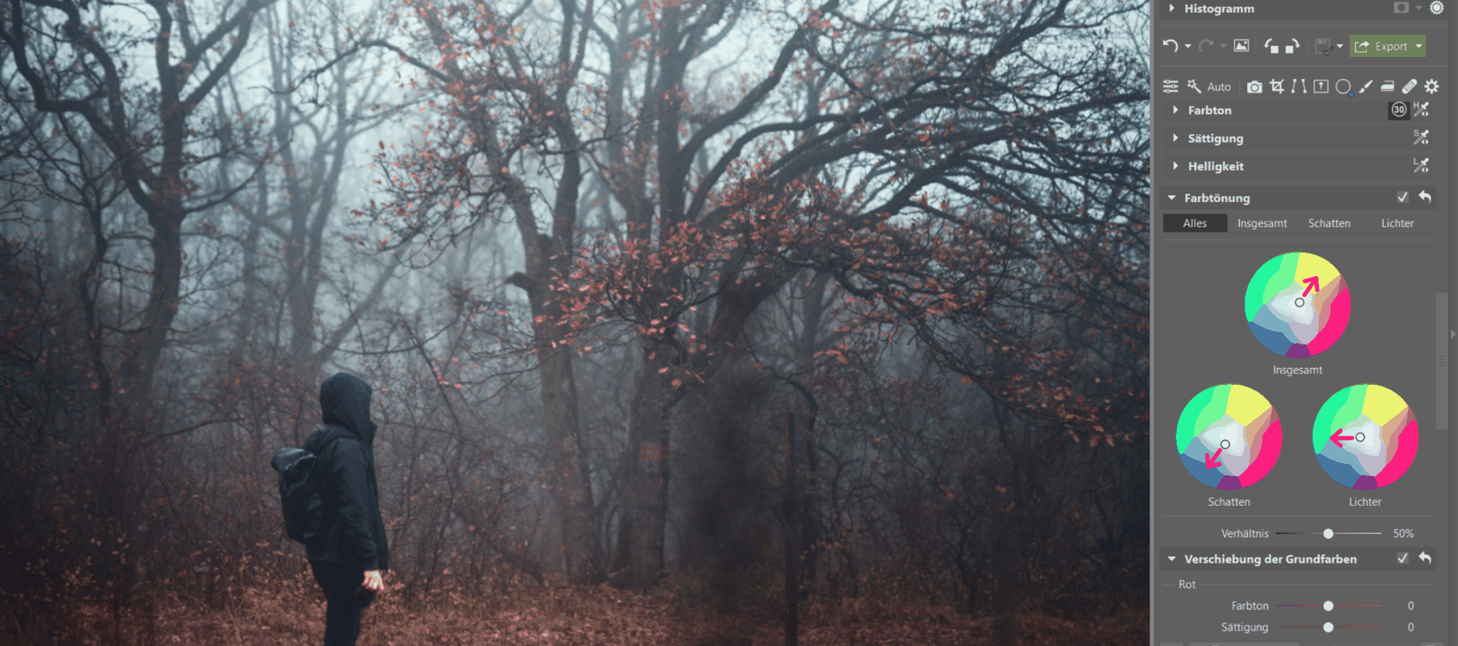 Fotografieren im Nebel: Verleihen Sie Ihren Fotos eine düstere Atmosphäre. Wir geben Tipps zum Fotografieren und Bearbeiten