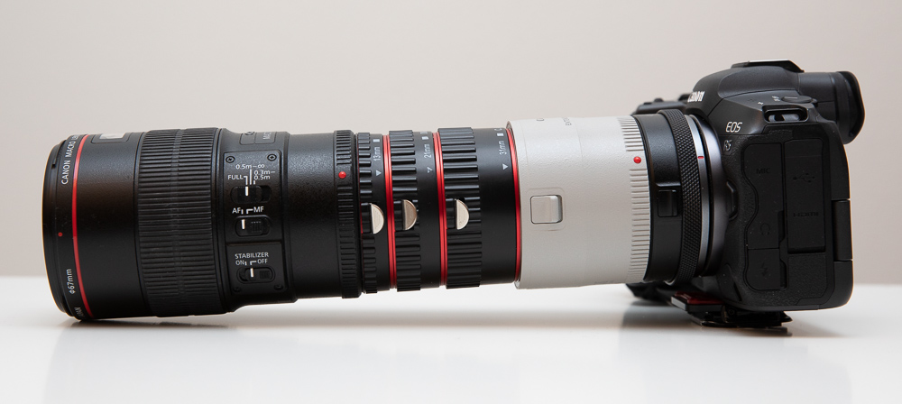 Supermakro: Entdecken Sie den Zauber der Makrofotografie mit hoher Vergrößerung