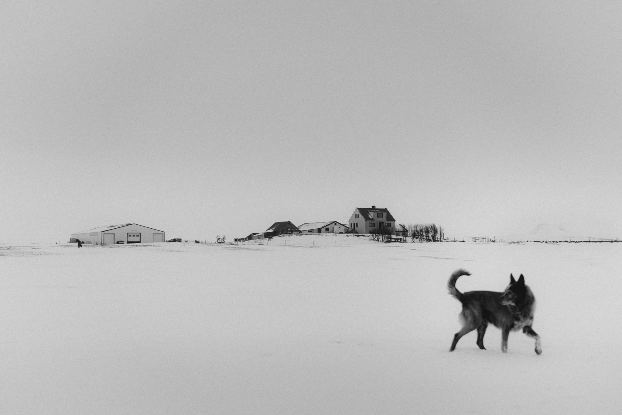 Fotografie und Kritik: Wie man Kritik akzeptiert und wo man sie findet