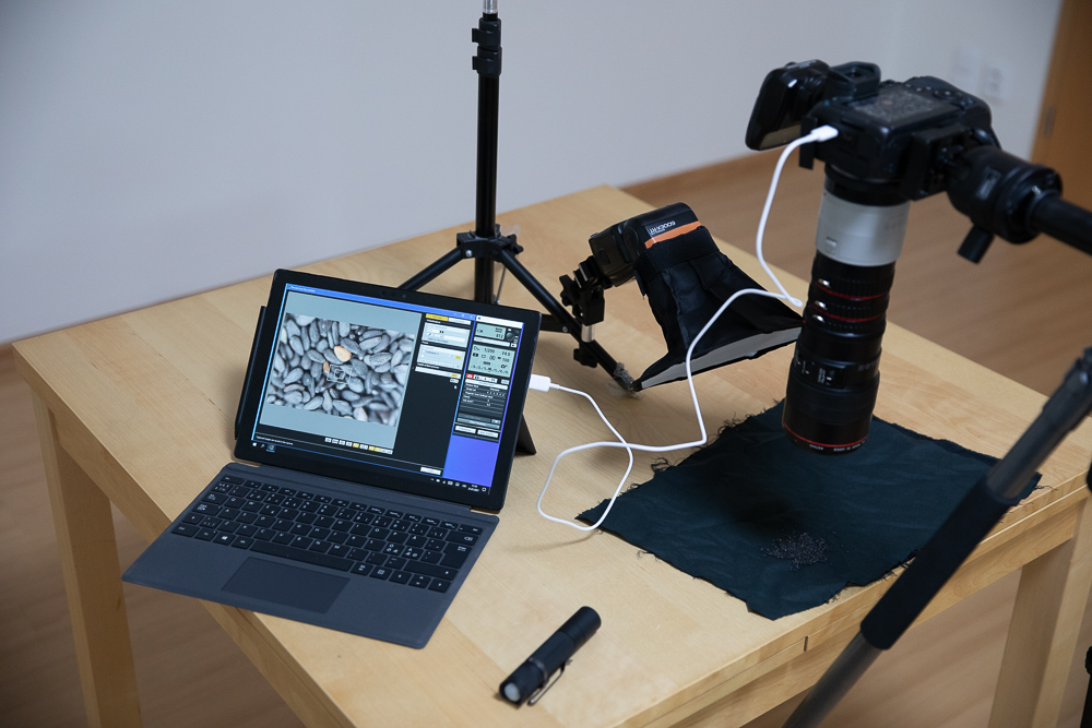 Supermakro: Entdecken Sie den Zauber der Makrofotografie mit hoher Vergrößerung