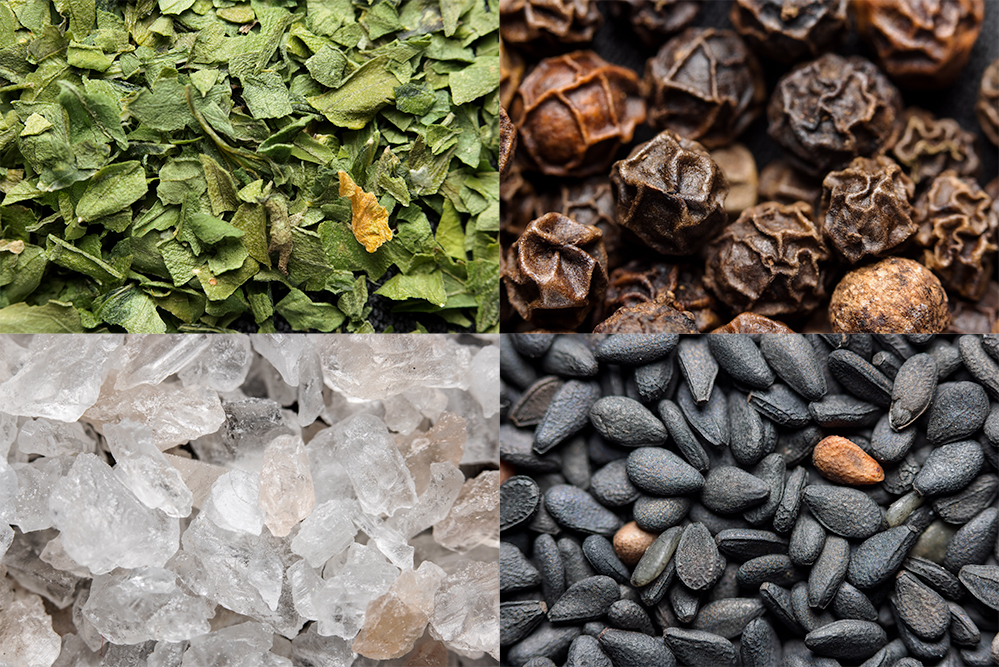 Supermakro: Entdecken Sie den Zauber der Makrofotografie mit hoher Vergrößerung