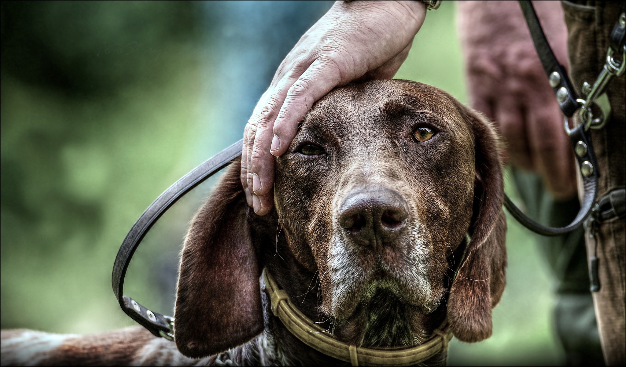 Jagdfotograf Adam Simandel: Wenn ich überlebe, werde ich etwas zu erzählen haben