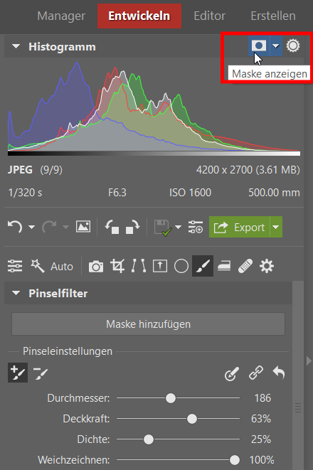 Pinselfilter: Behalten Sie die vollständige Kontrolle über jeden Bereich Ihres Fotos