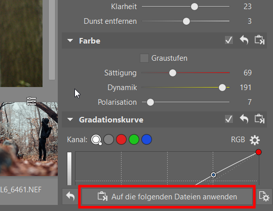 Sparen Sie Zeit bei der Bildbearbeitung. Mit dem Kopieren von Anpassungen