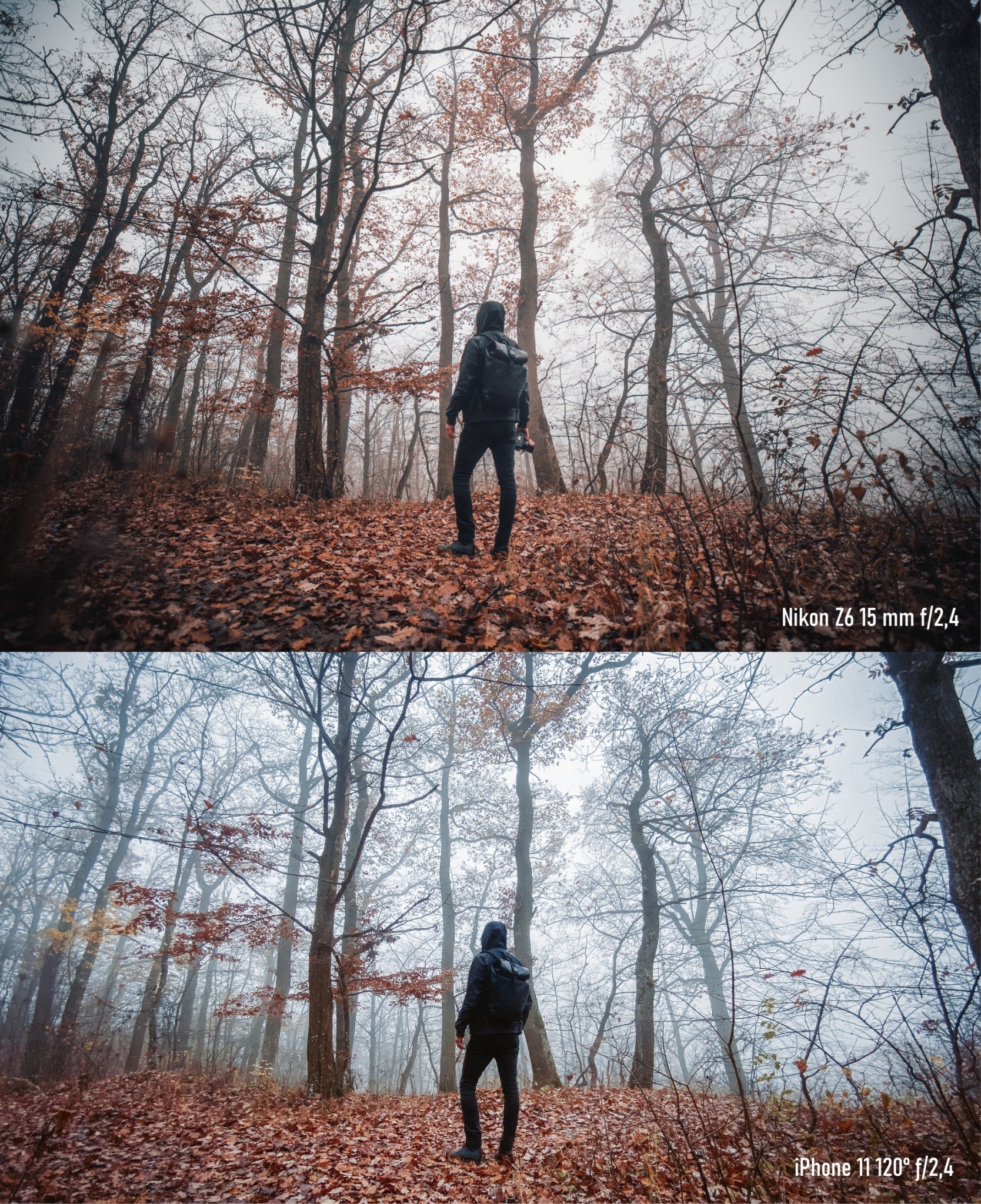 Smartphone vs. Fotoapparat. Wie hat sich der Unterschied entwickelt?