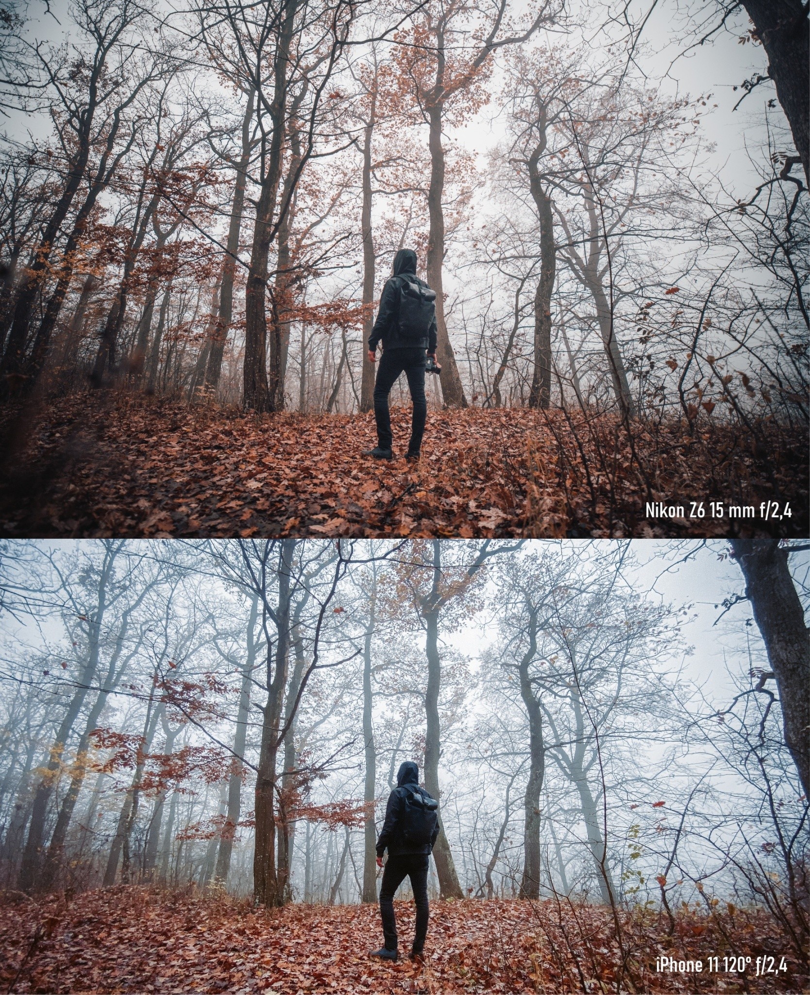 Smartphone vs. Fotoapparat. Wie hat sich der Unterschied entwickelt?